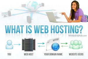 What is web hosting